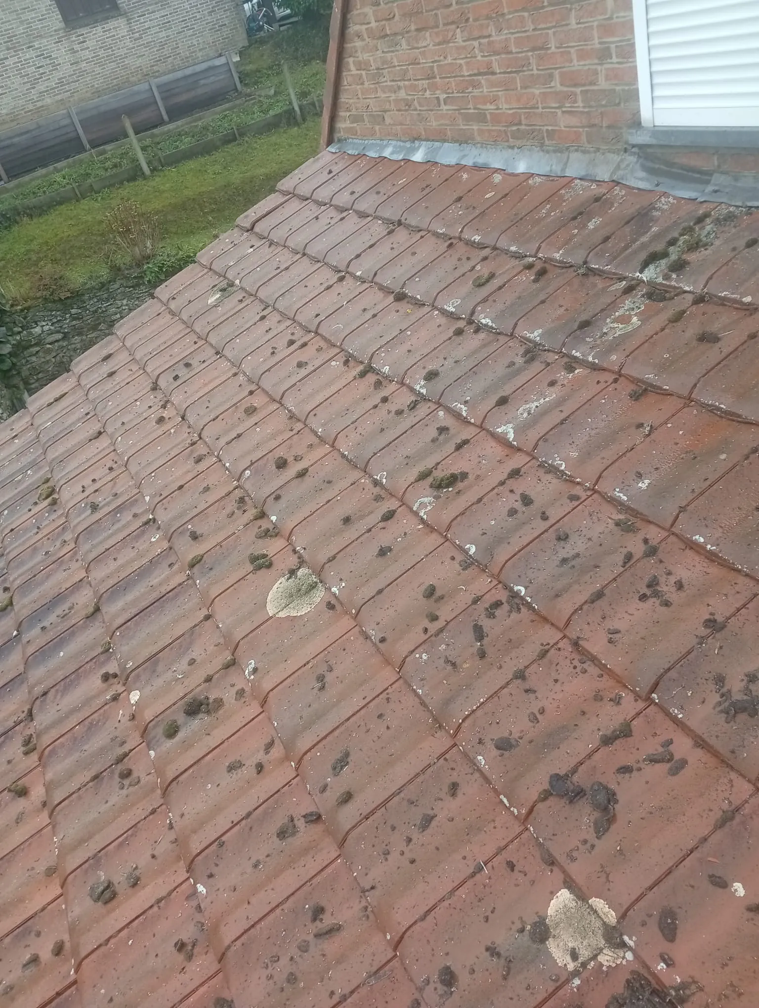 Toiture en tuiles envahie de mousse et de lichen avant nettoyage